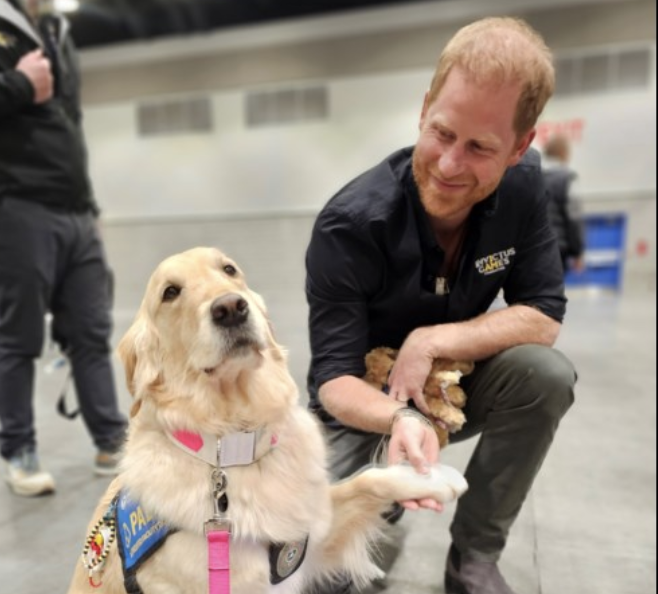 Delta Optimist: Delta assistance dogs lighten the mood at Invictus Games